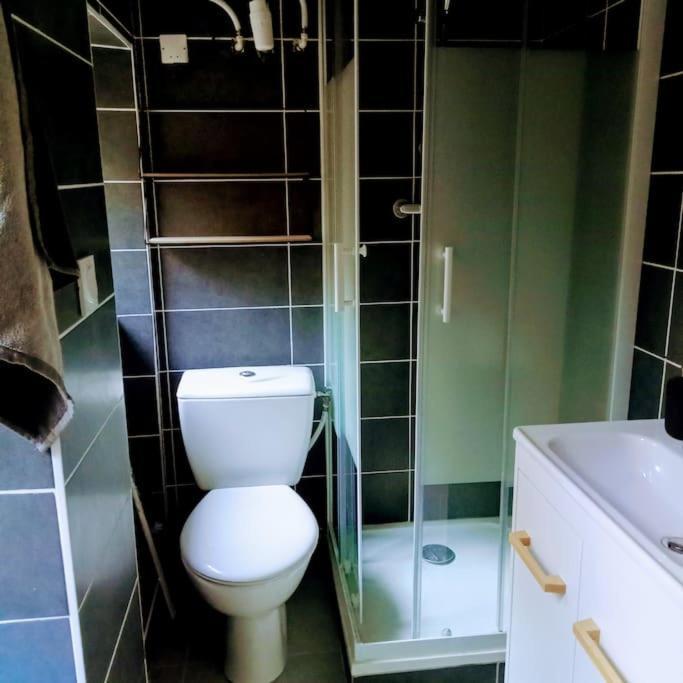 Le Cosy Chaleureux Appartement Saint-Etienne  Ngoại thất bức ảnh
